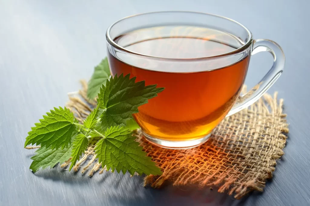 Nettle tea