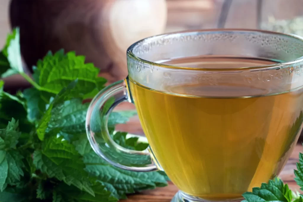 Nettle tea2
