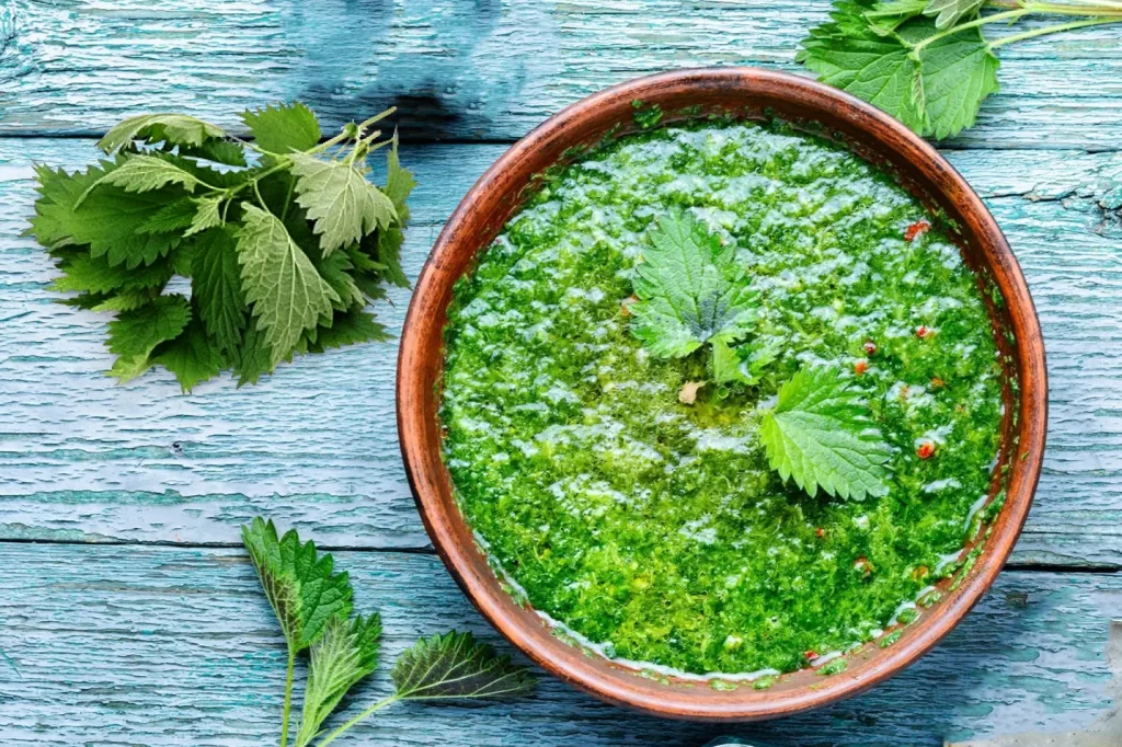 Ortie Soup
