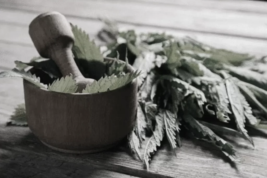 ancient medicine